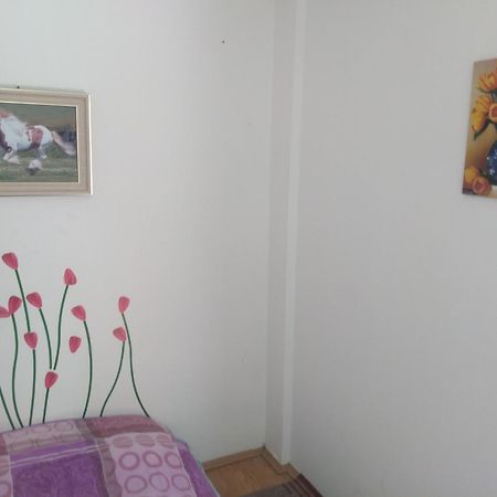 Hostel Trajan Donji Milanovac Kültér fotó