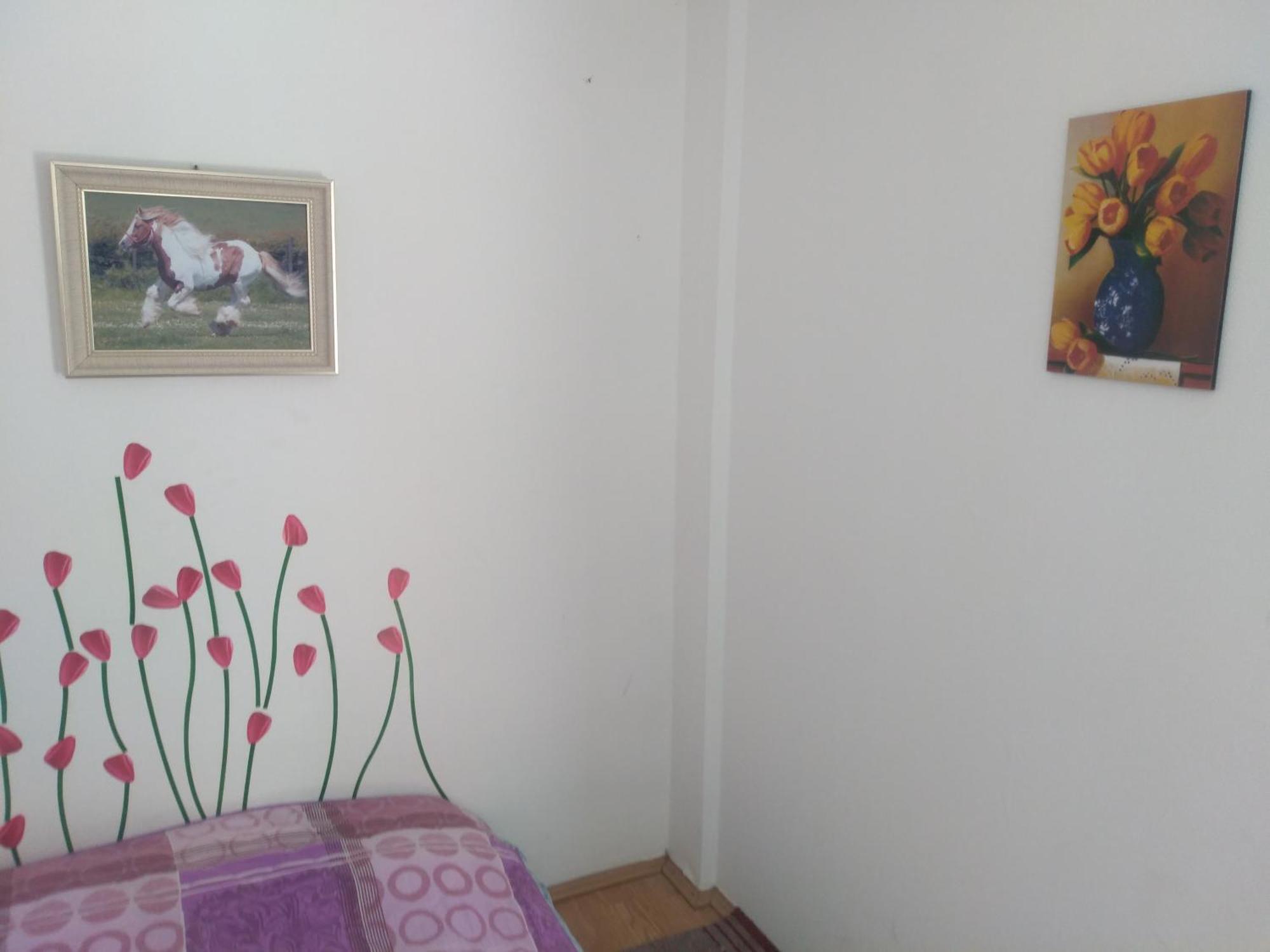 Hostel Trajan Donji Milanovac Kültér fotó