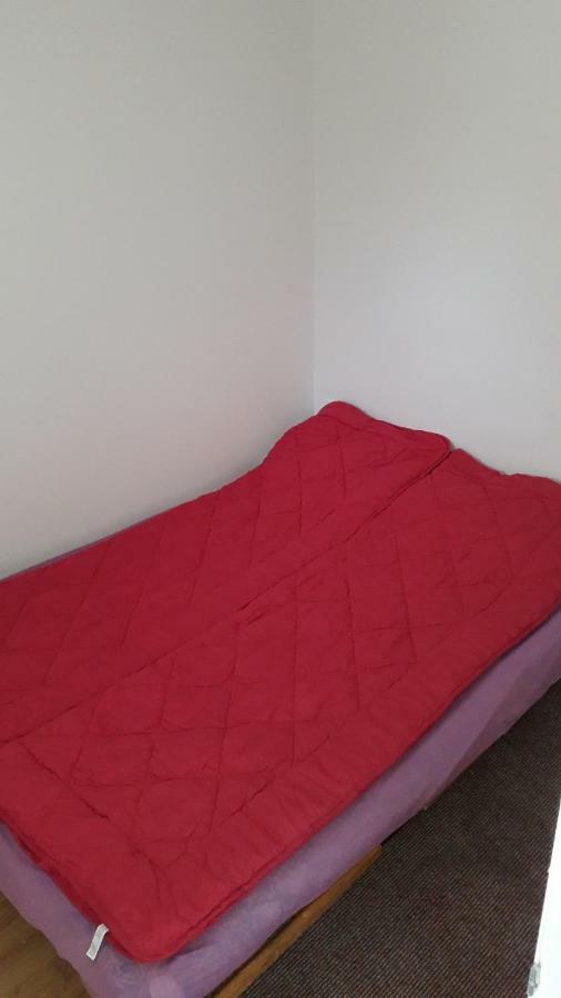 Hostel Trajan Donji Milanovac Kültér fotó